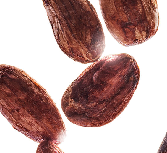 Kakaotr&aelig;-&Oslash;kologisk kakaosm&oslash;r-Theobroma cacao (cocoa) seed butter