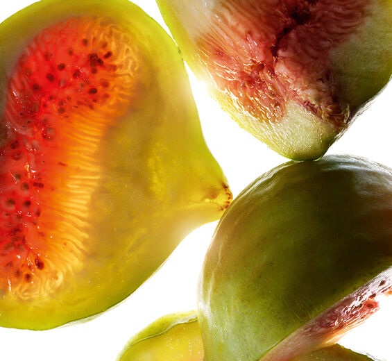 Figtree-Figen ekstrakt-Ficus carica (fig) fruit extract