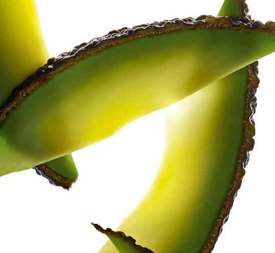 Avocado-Avocado usaponificerbar-Persea gratissima (avocado) oil unsaponifiables