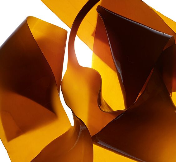 Laminaria-Laminaria ekstrakt-Laminaria digitata extract