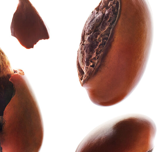 Shea tr&aelig;-Shea olie-Butyrospermum parkii (shea) butter