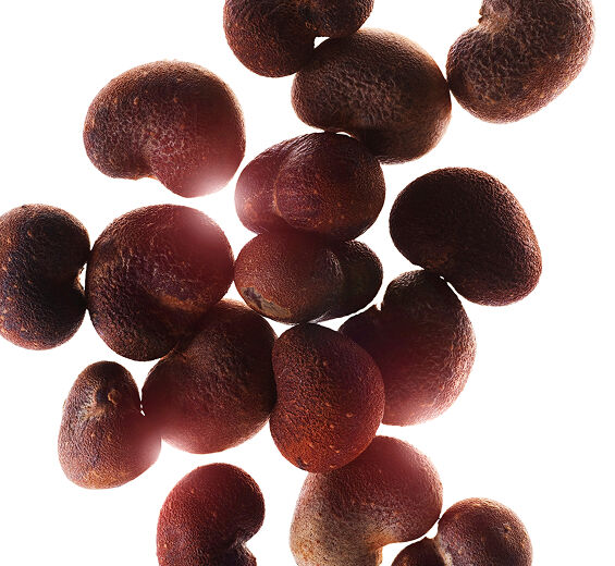 Baobab-Baobab ekstrakt-Hydrolyzed adansonia digitata extract