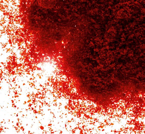 Paprika-Paprika ekstrakt-Capsicum annuum fruit extract