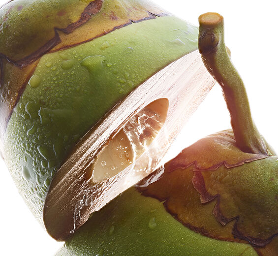 Kokosn&oslash;ddetr&aelig;-&Oslash;kologisk kokosvand-Cocos nucifera (coconut) fruit juice