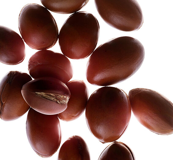 Argantr&aelig;-&Oslash;kologisk arganolie-Argania spinosa kernel oil