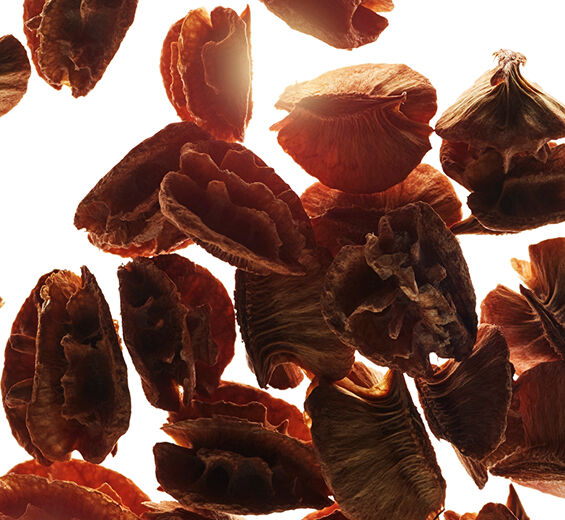 Acerola-Acerolafr&oslash;ekstrakt-Malpighia emarginata (acerola) seed extract