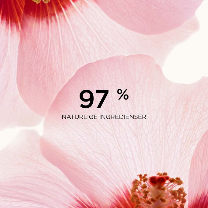 Nærbilde av to hibiskusblomster for å fremheve at 97 % av ingrediensene i Renew-Plus Body Serum har naturlig opphav.