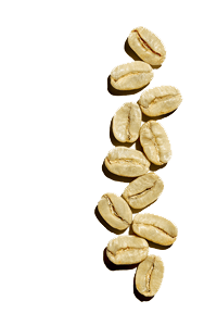 Kaffebusk