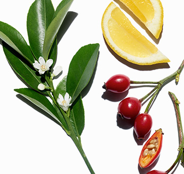 Bilde av ingredienser og planter
