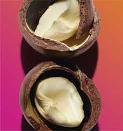Økologisk macadamia